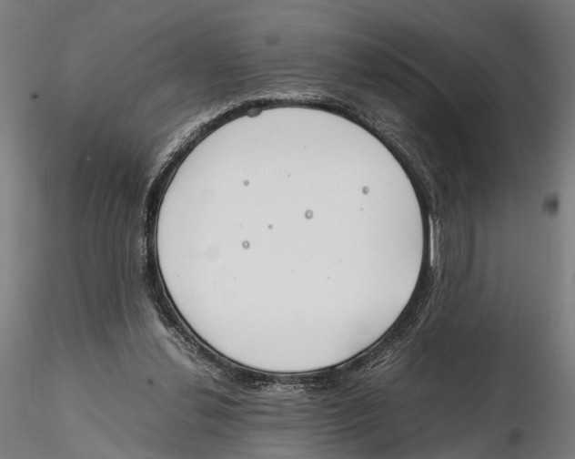X0000115500252200912041044