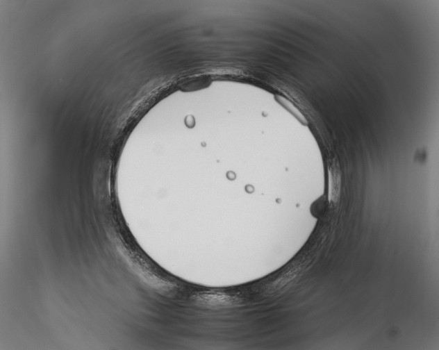 X0000115500253200912041044