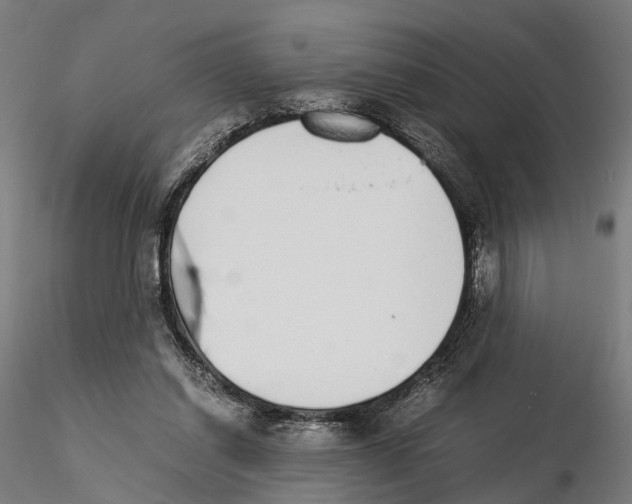 X0000115500254200912041044