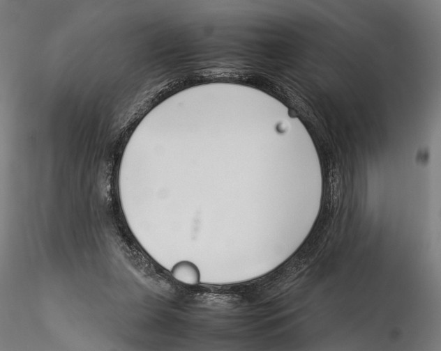 X0000115500255200912041044