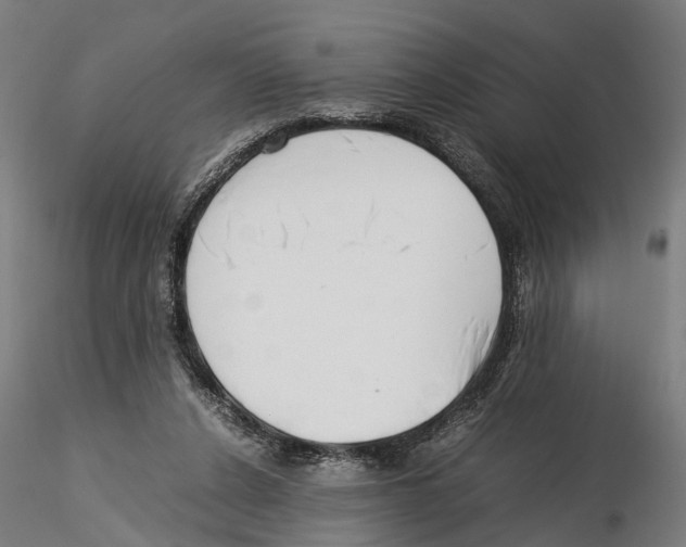 X0000115500256200912041044