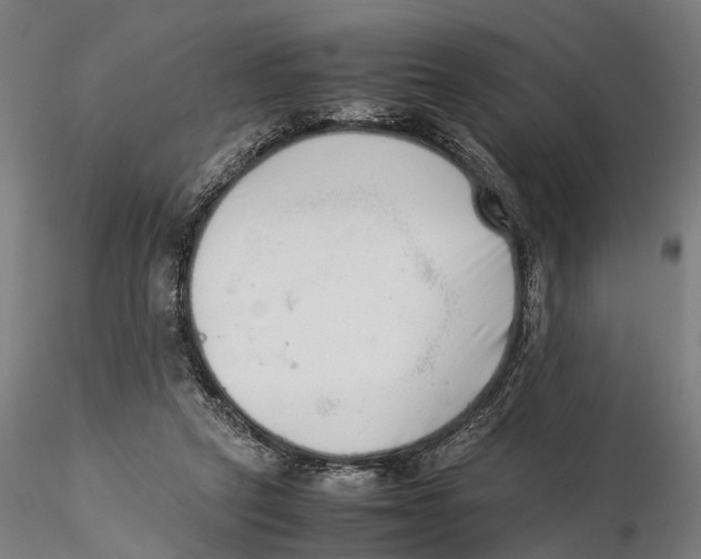 X0000115500257200912041044