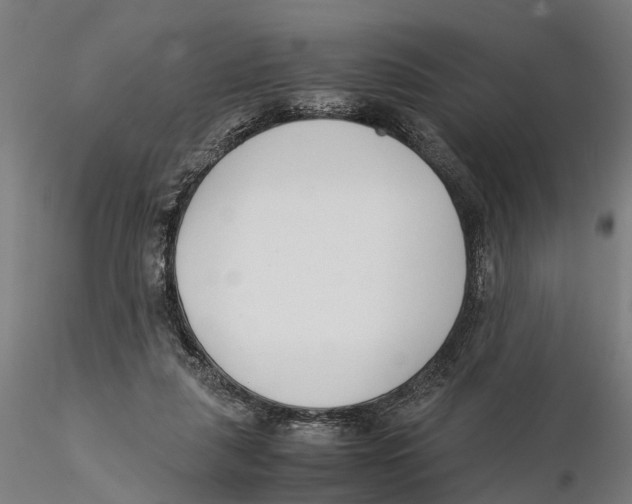 X0000115500259200912041044