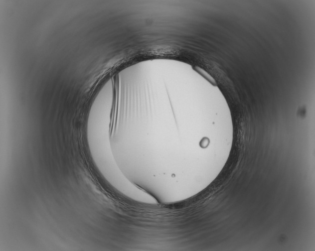 X0000115500260200912041044