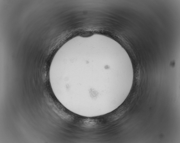 X0000115500261200912041044