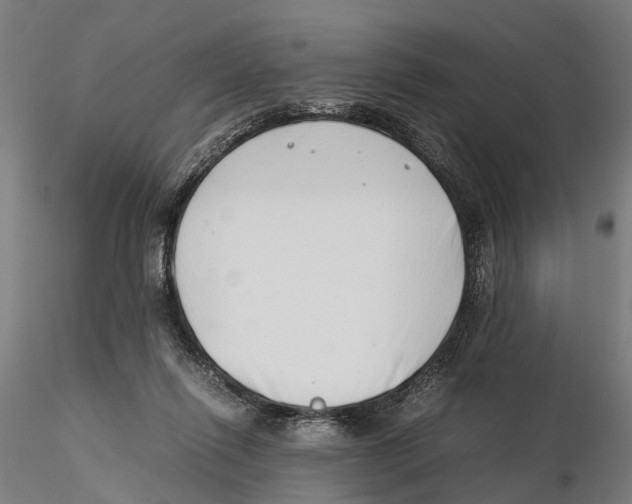 X0000115500262200912041044
