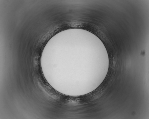 X0000115500263200912041044