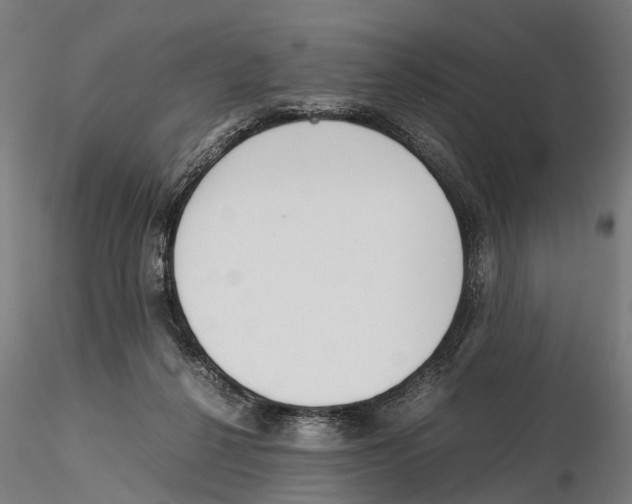 X0000115500264200912041044