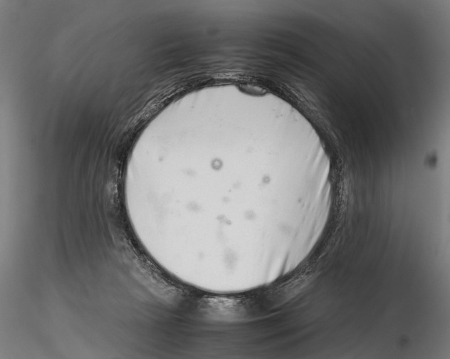 X0000115500265200912041044