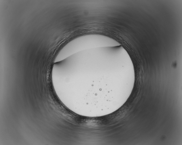 X0000115500268200912041044