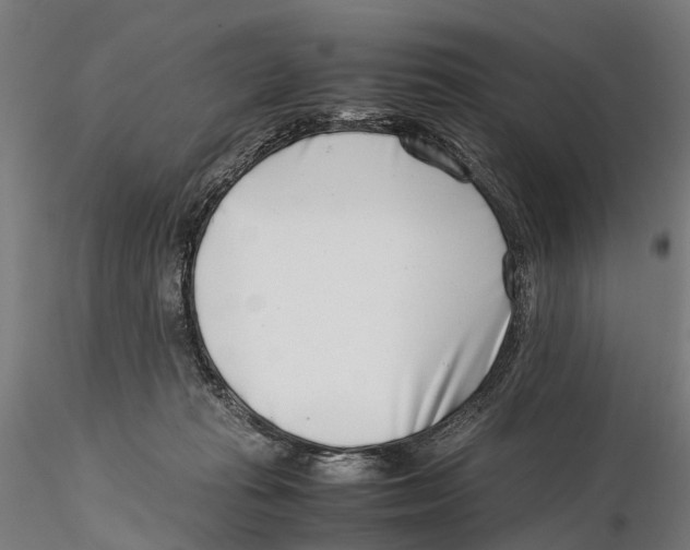 X0000115500269200912041044