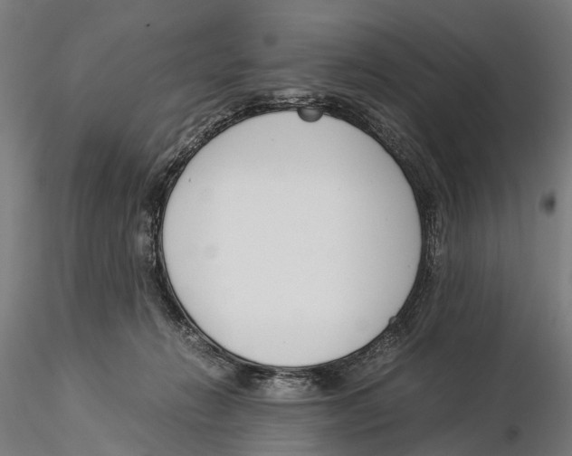 X0000115500270200912041044