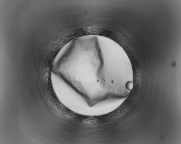 X0000115500271200912041045