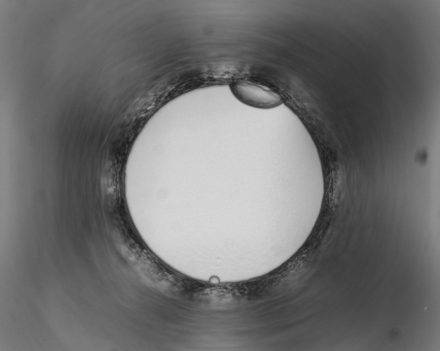 X0000115500272200912041045