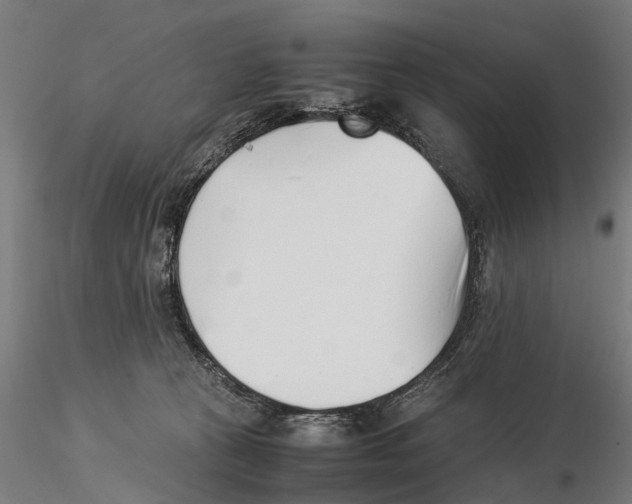 X0000115500273200912041045