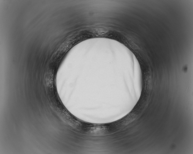 X0000115500274200912041045
