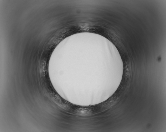 X0000115500275200912041045