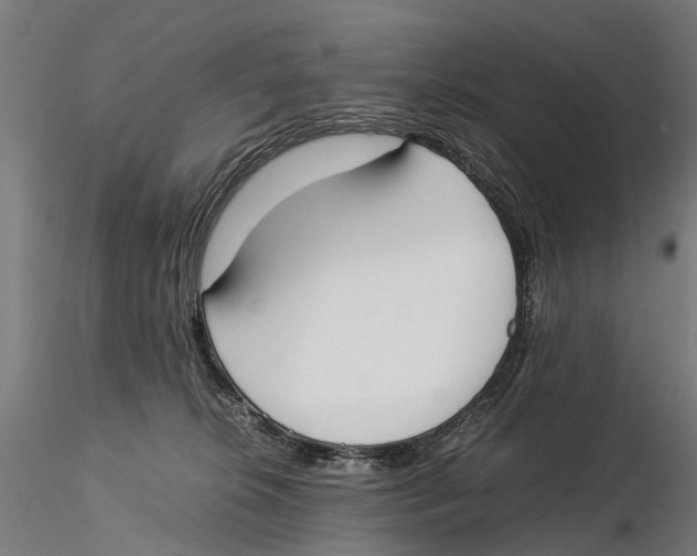 X0000115500276200912041045