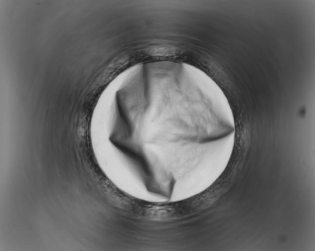 X0000115500277200912041045