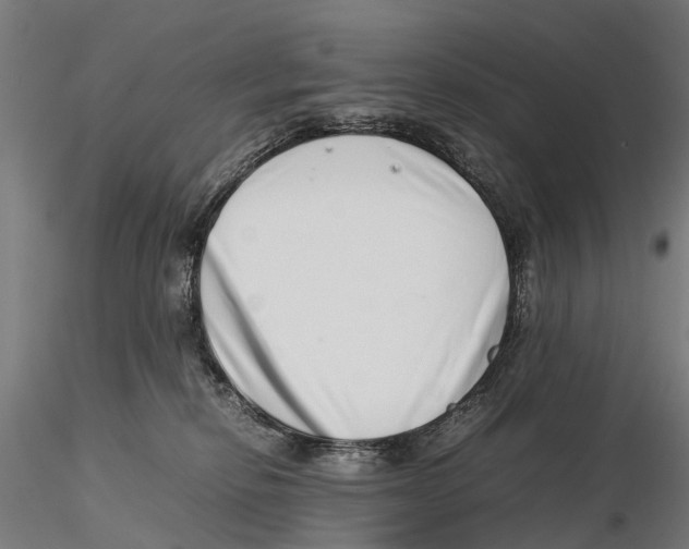 X0000115500278200912041045
