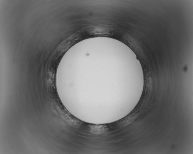 X0000115500281200912041045