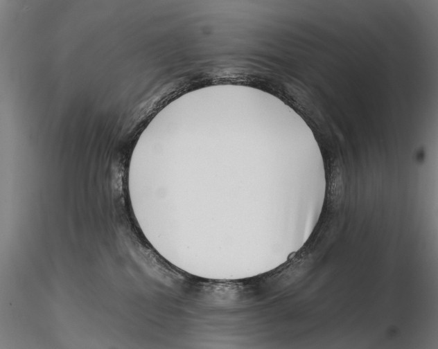 X0000115500282200912041045