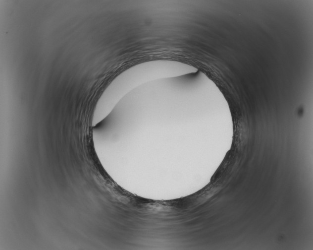 X0000115500284200912041045