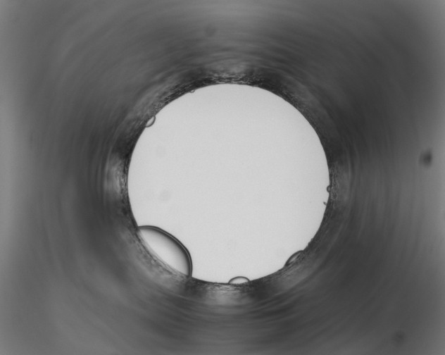 X0000115500287200912041045