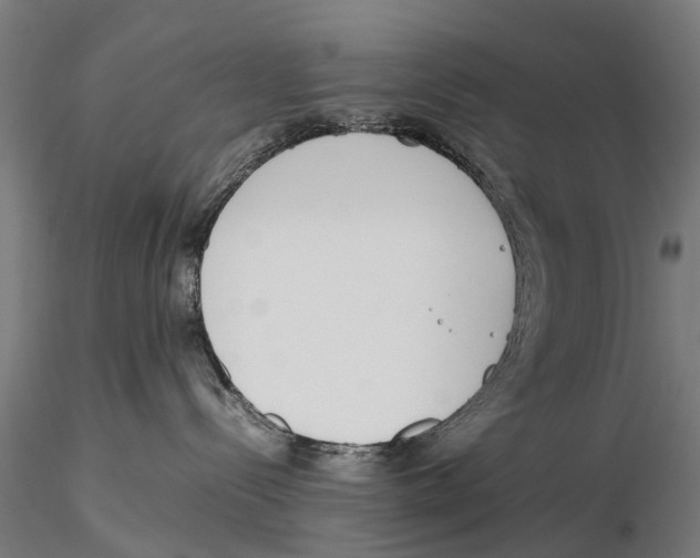 X0000115500288200912041045