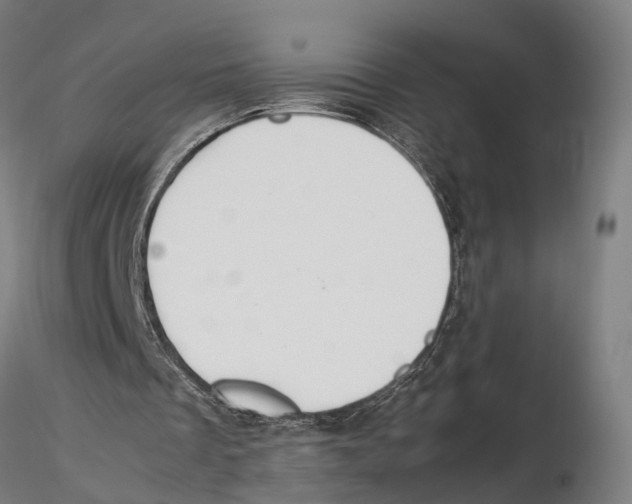 X0000115500289200912041044