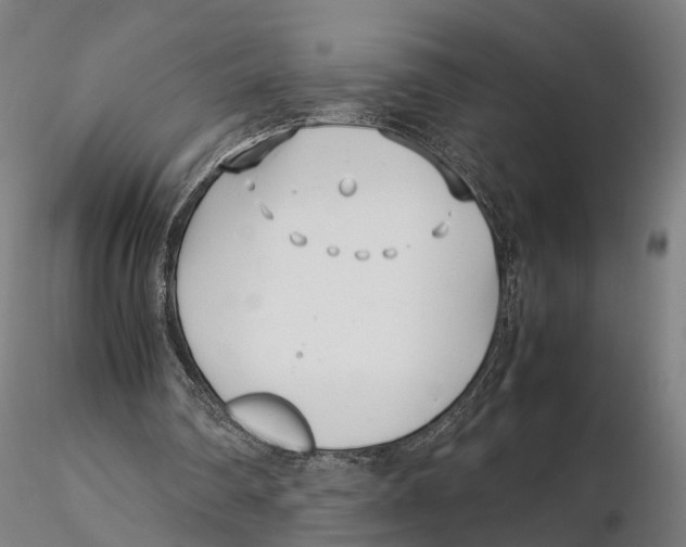 X0000115500290200912041044