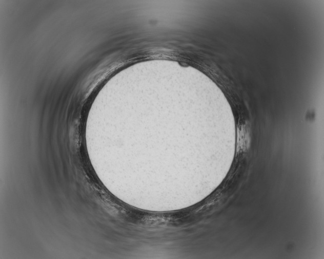 X0000115500291200912041044