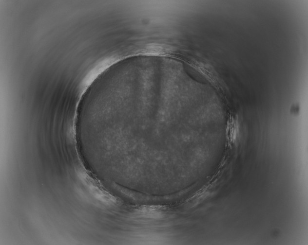 X0000115500292200912041044