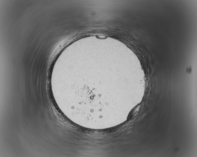 X0000115500293200912041044