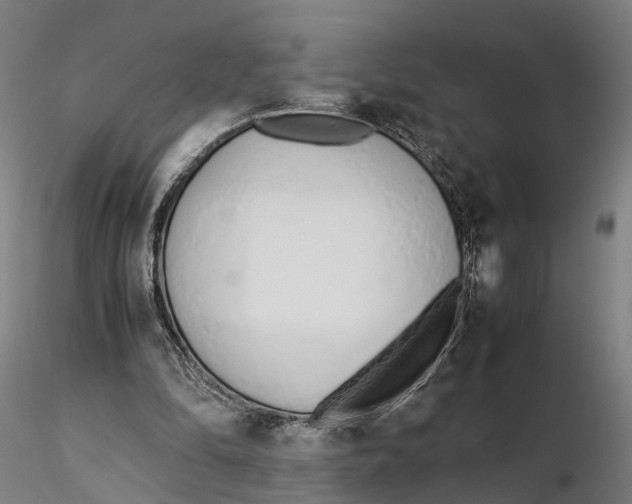 X0000115500294200912041044