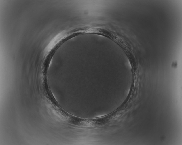 X0000115500295200912041044