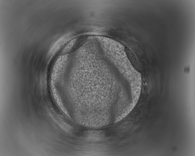 X0000115500296200912041044