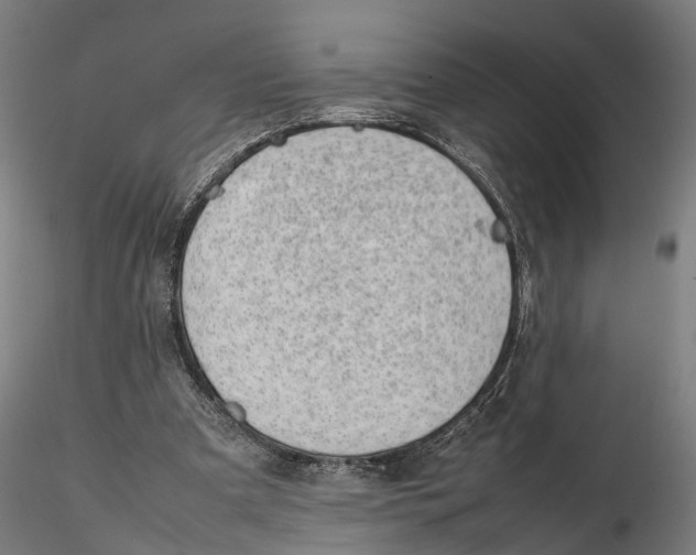 X0000115500297200912041044
