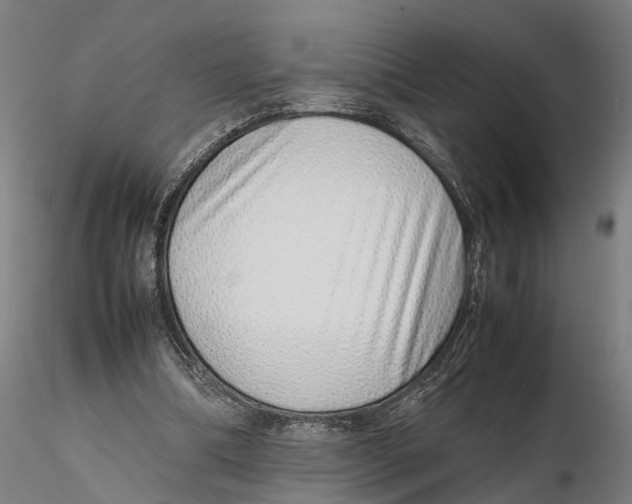 X0000115500298200912041044