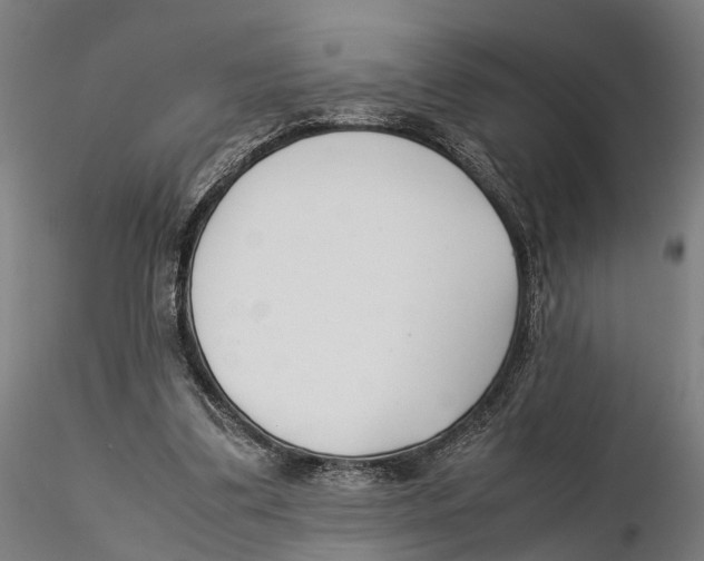 X0000115500299200912041044