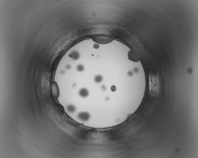 X0000115500300200912041044