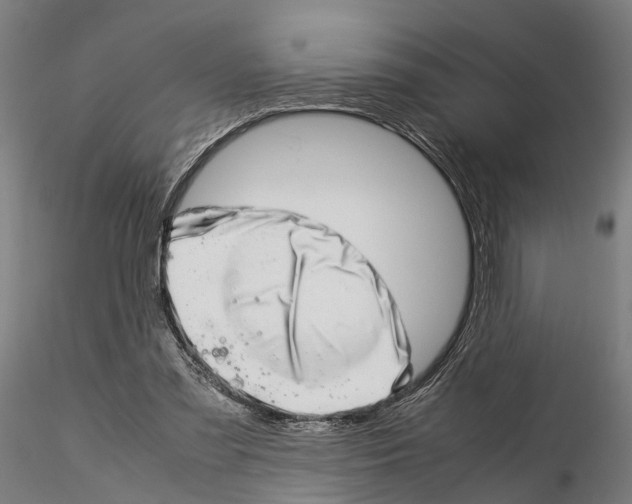 X0000115500301200912041044