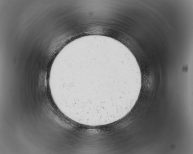 X0000115500302200912041044