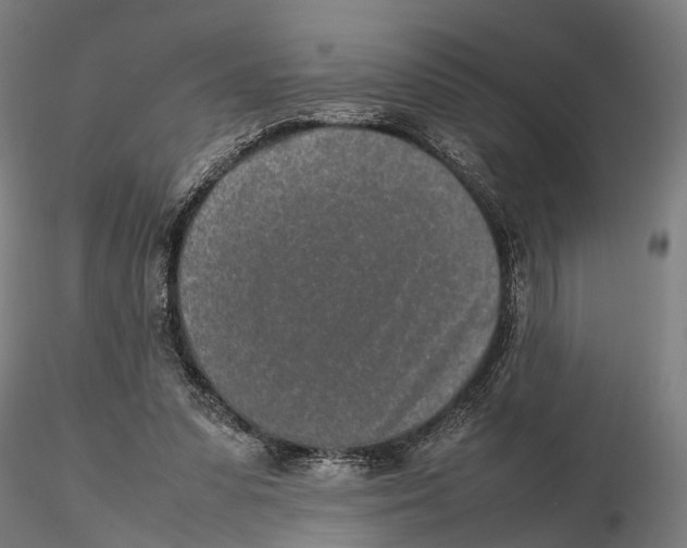 X0000115500303200912041044