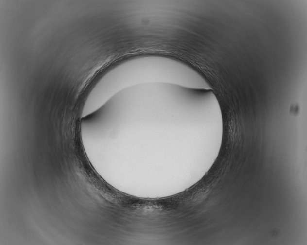X0000115500304200912041044