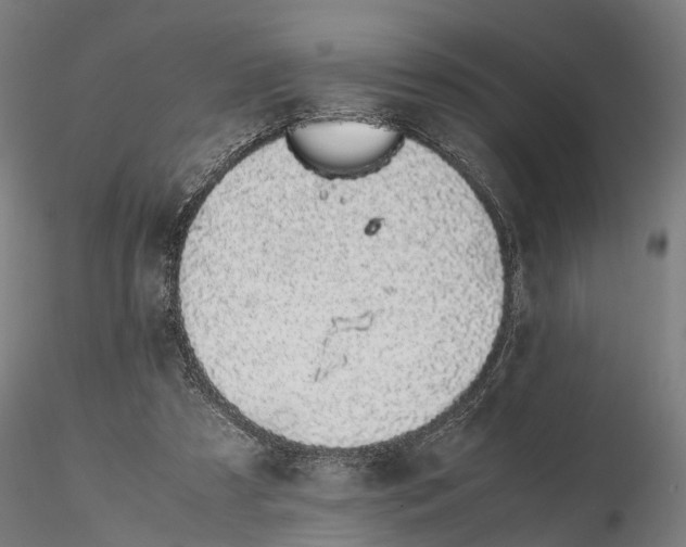 X0000115500305200912041044