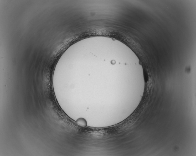 X0000115500306200912041044