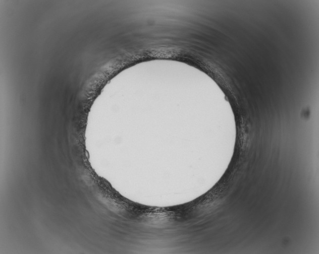 X0000115500307200912041044