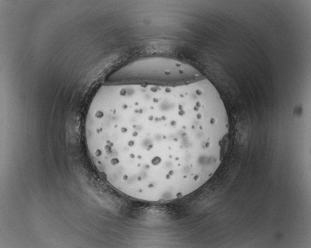 X0000115500308200912041044