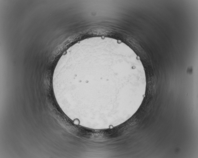 X0000115500309200912041044